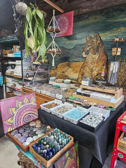 Out of the Shadow Realm