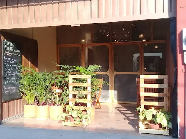 9 ó 6 Comida Vegana.