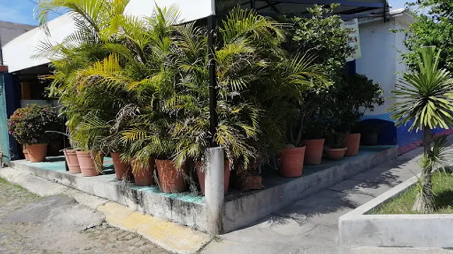 Cocina Económica "ANA"