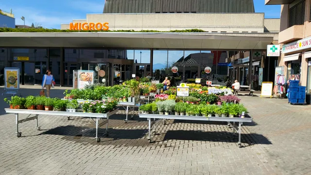 Supermarché Migros