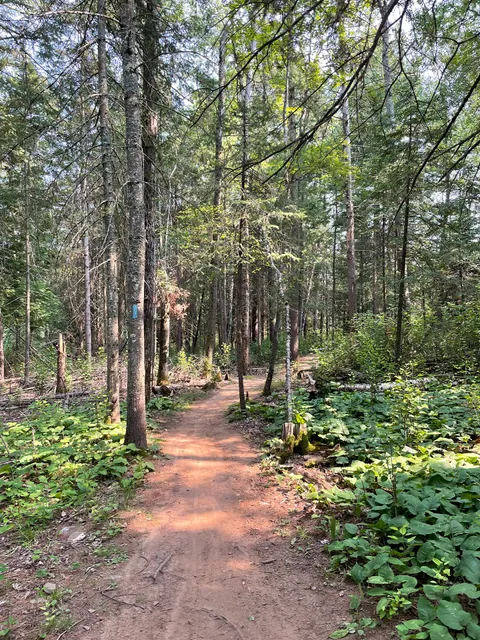 Hartley trailhead parking