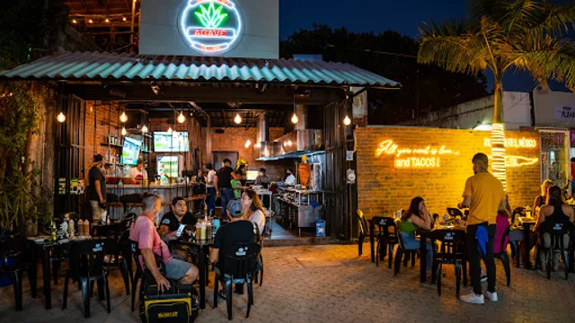 Agave Taco Bar Isla Mujeres