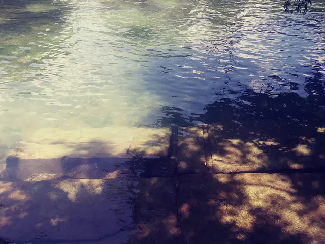 170 Charles Austin Dr