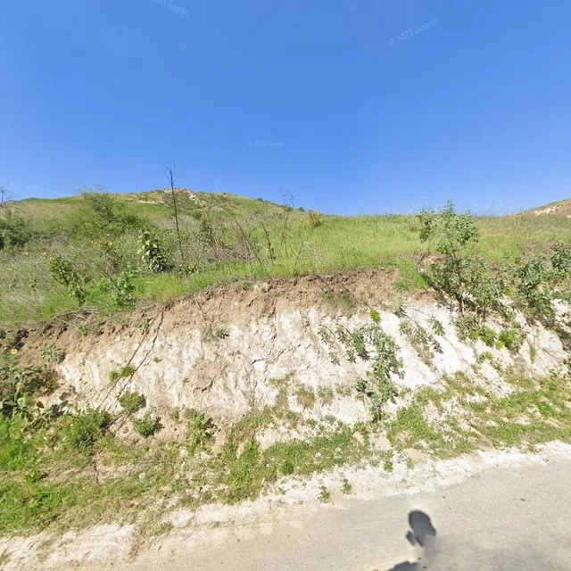 Los Angeles Silhouette Club