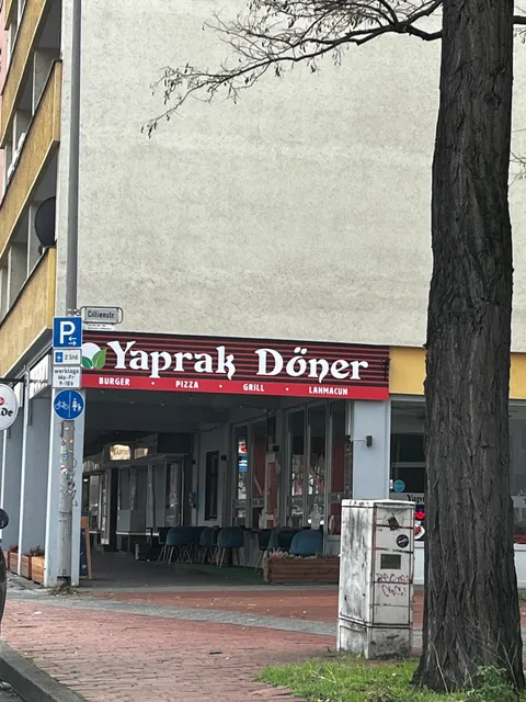 Yaprak Döner
