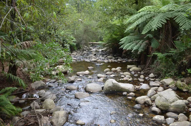 Badger Weir Picnic Area