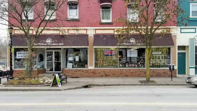 Sue Nelson Designs Ltd