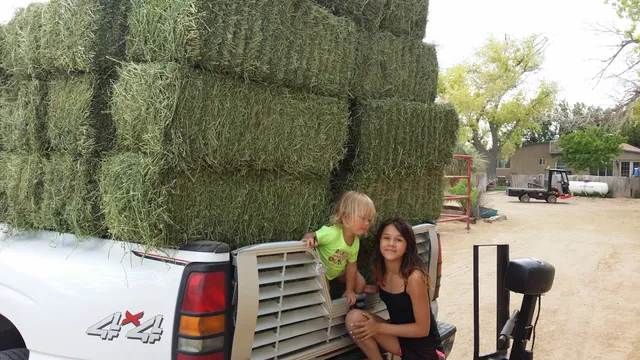 Broken M Ranch and Horse Motel