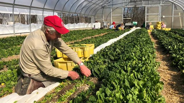 Pleasant Valley Farm