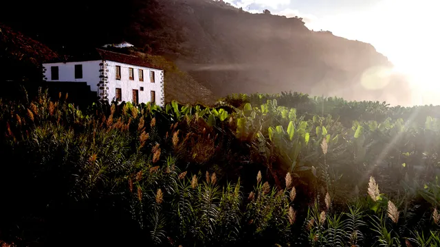 Hacienda Cuatro Ventanas