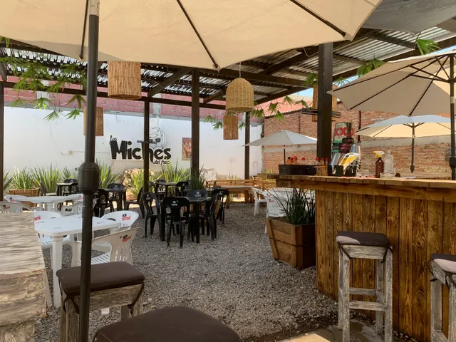 Las miches del fracc guanajuato