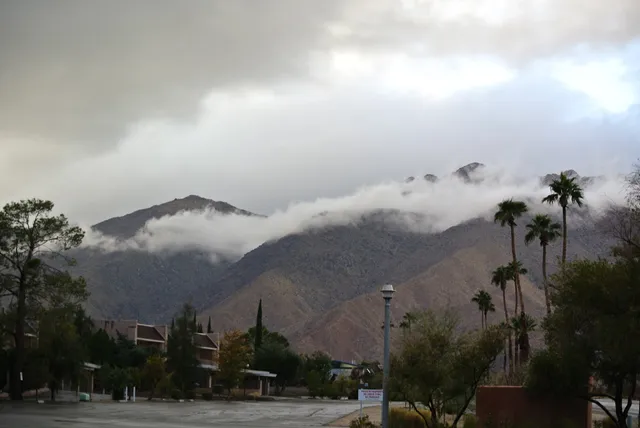 Coldwell Banker Borrego