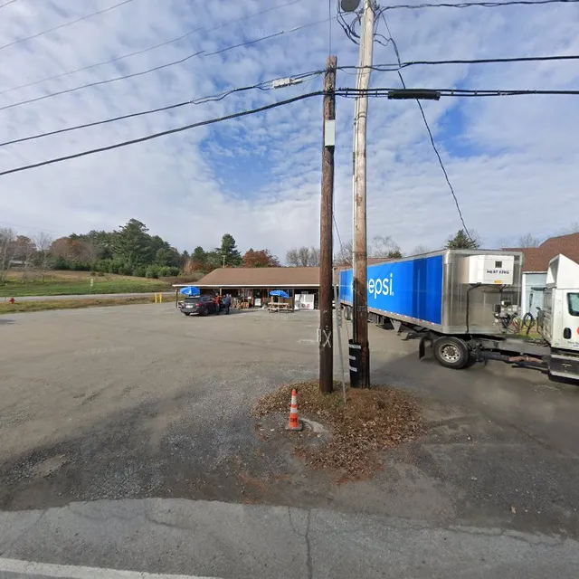 Denton Bear Necessities