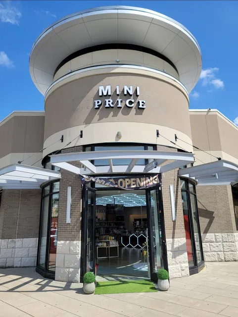 MINI PRICE