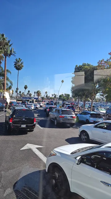 Knott's Berry Farm Theme Park