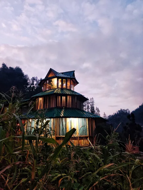 The hidden burrow by Whoopers