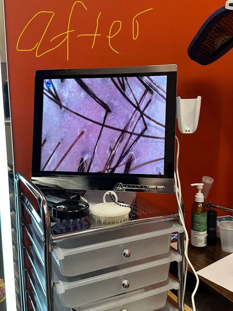 Serenity Scalp Studio