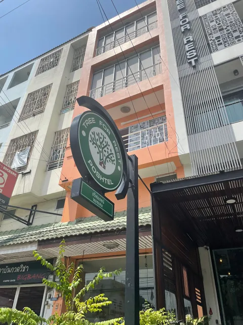 Tree for rest Poshtel