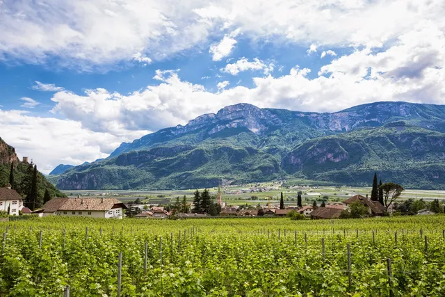 Ferienwohnungen Hochbrunner