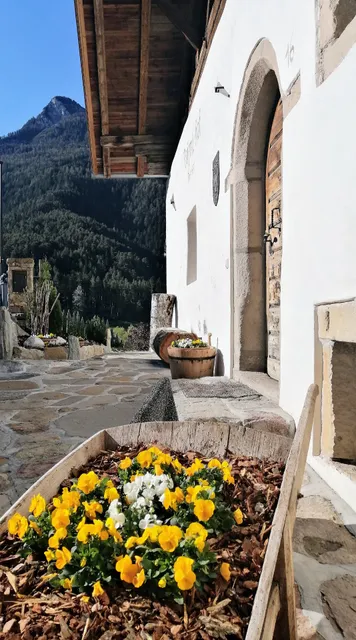 Daimlhof - Apartments