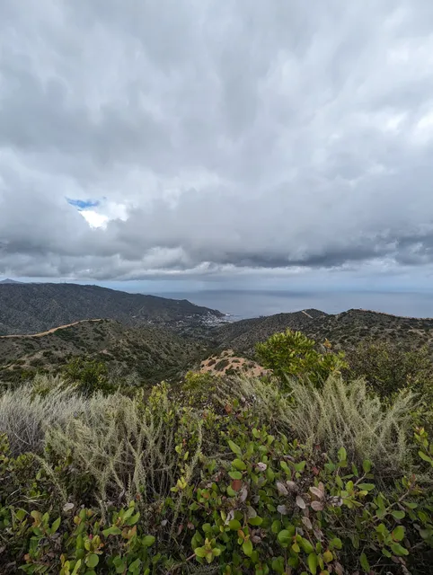 Catalina Island Company Ticket Booth
