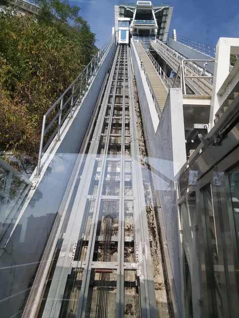 Taipa Grande Viewing Platform