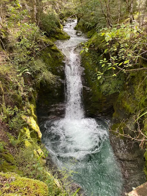 Mt Creighton Loop Track