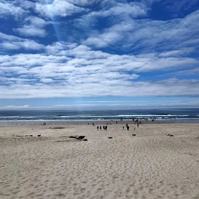 Nehalem Bay State Park Amphitheater - Wedding Ceremony Site