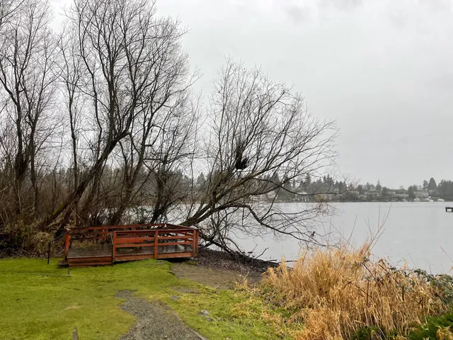Yarrow Bay Wetlands