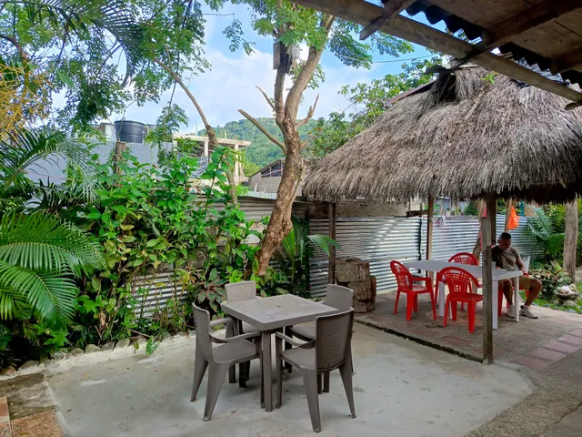 Hospedaje Las Palmeras Capurgana