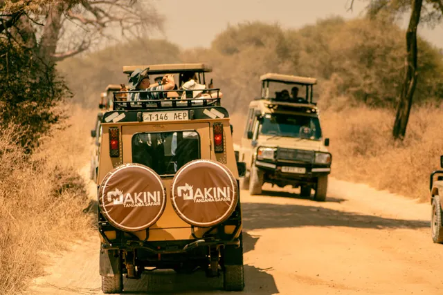 Makini Tanzania Safaris