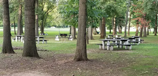 Johnson Park - Grove 5