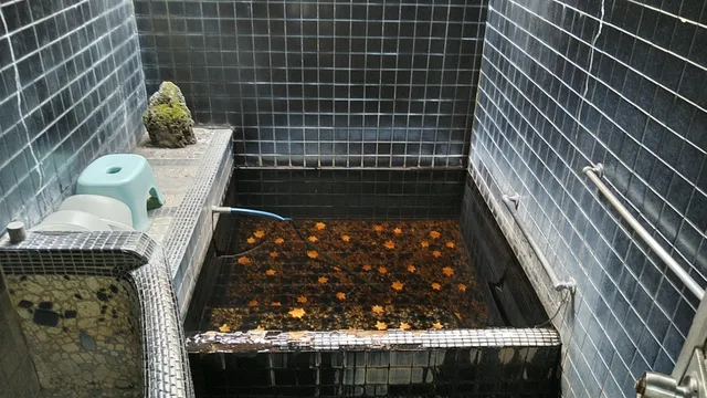 天然温泉湯乃山