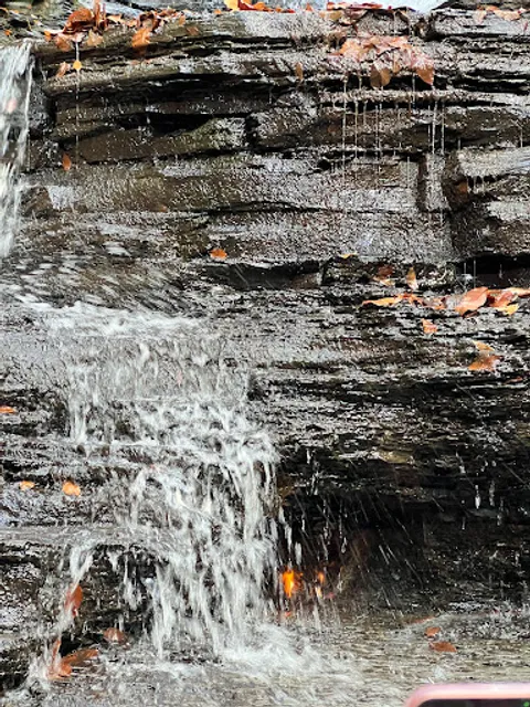 Chestnut Ridge Park Eternal Flame Trail
