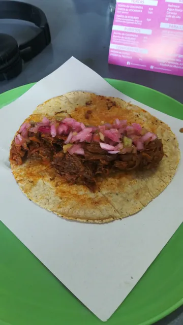 Rosita La Cochinita Rockera