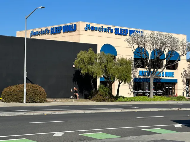 Mancini's Sleepworld Santa Clara
