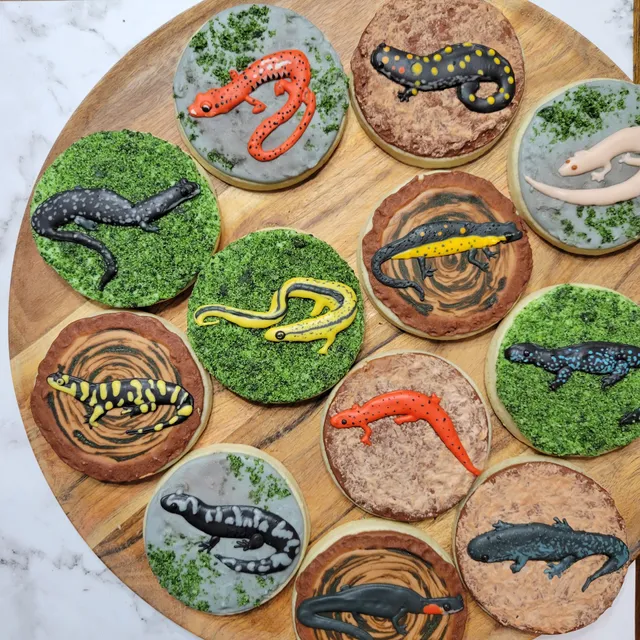 Jenna March Home Bakery