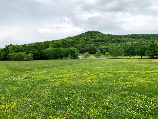 Edwin Warner Park Shelter 9