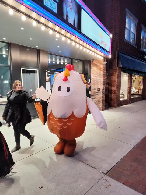 Endicott Furniture Co Inc