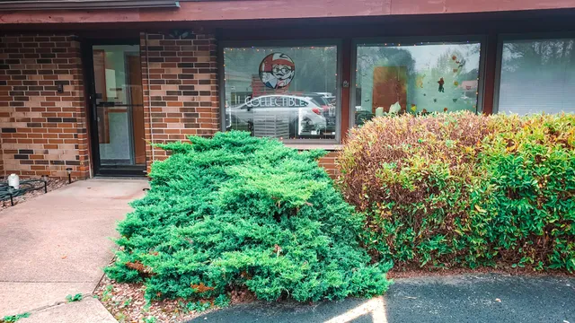 The Shop Collectibles