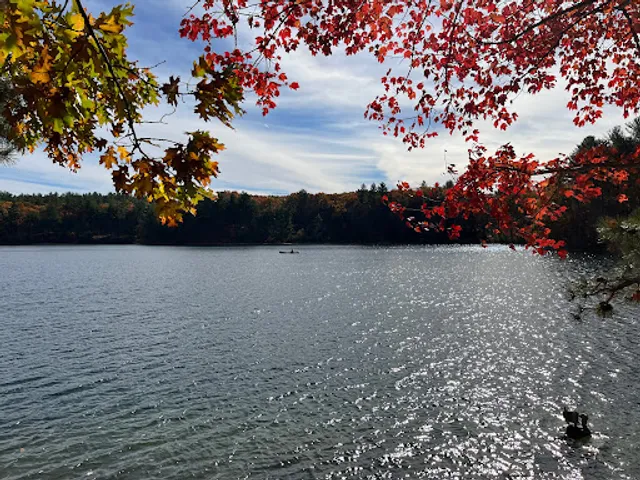 Walden Pond