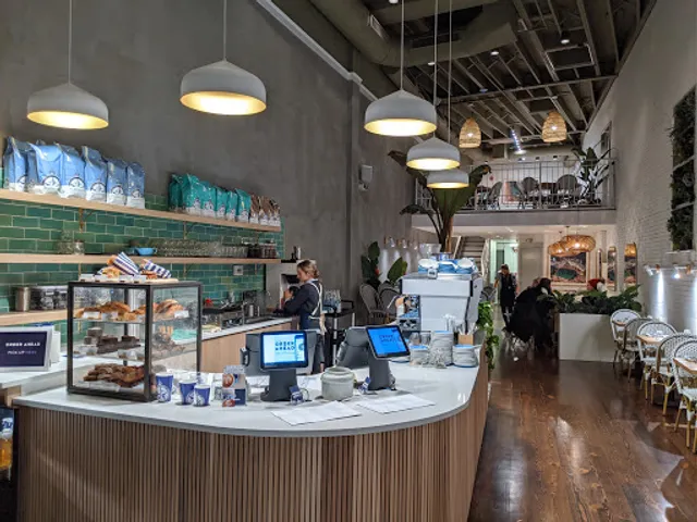 Bluestone Lane Harvard Square Café