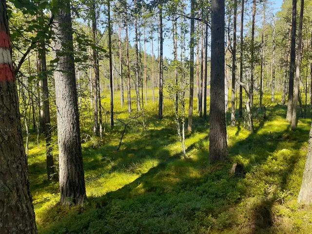 Государственный природный заказник «Гряда Вярямянселькя»