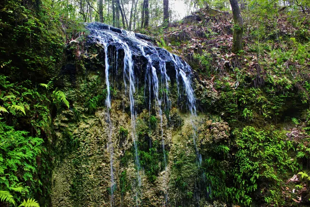 Falling Waters State Park