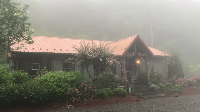 The Nest & Hive Shoppe