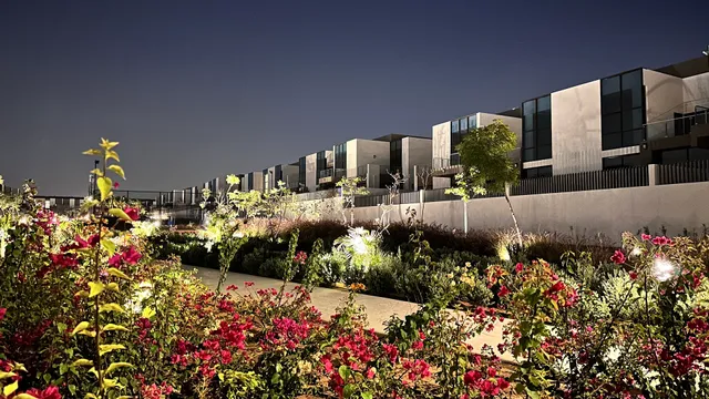 Senses at the Fields