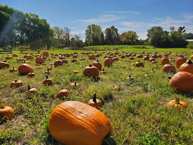 Prospect Hill Orchards-Homestead Farm