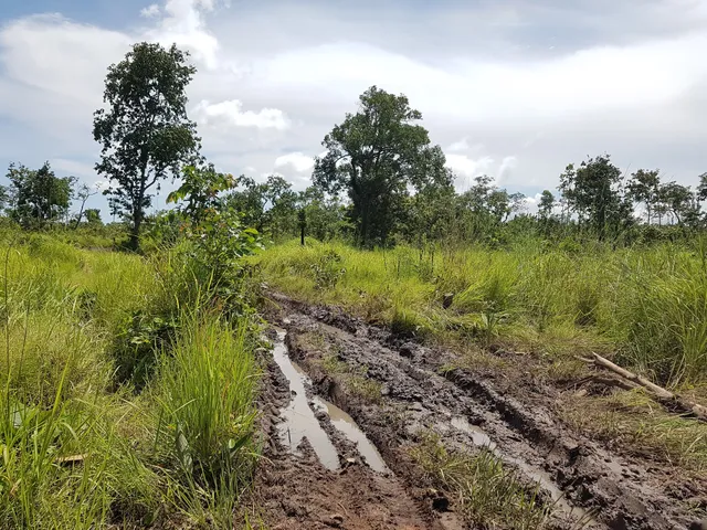 Kulen Prum Tep Wildlife Sanctuary