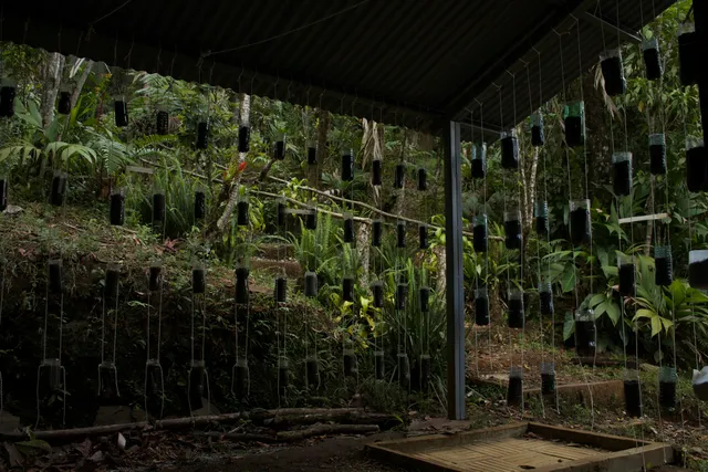 Reserva Natural Ranchitos del Quetzal (Hospedaje, Restaurante, Tours)