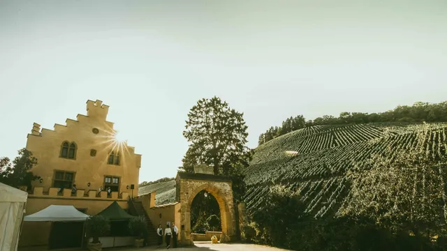 Maximin Grünhaus - Weingut der Familie von Schubert